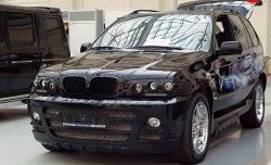 4 899 р. Комплект противотуманных фар в передний бампер Тарантул на BMW X5 E53 дорестайлинг (1999-2003)  с доставкой в г. Тамбов. Увеличить фотографию 2