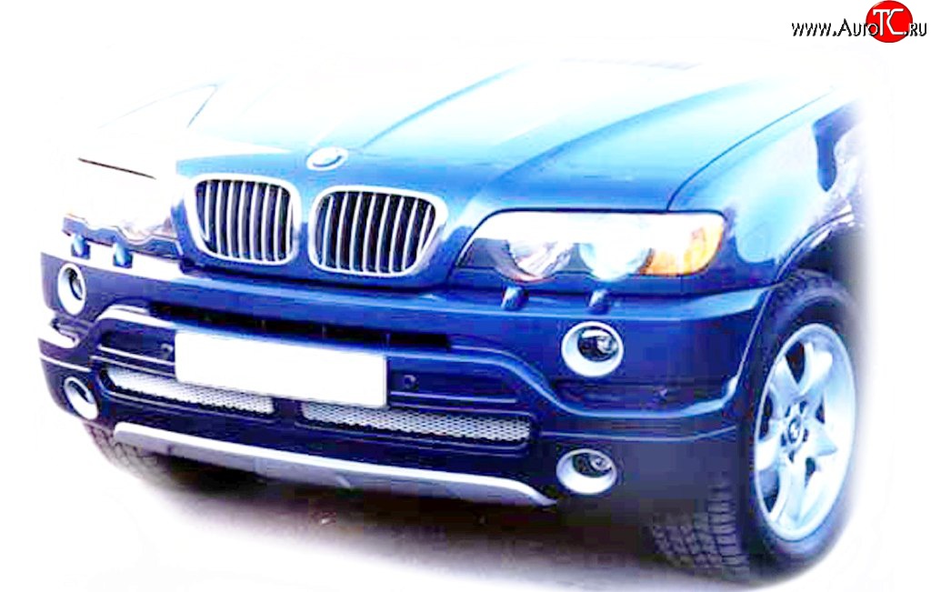 119 р. Накладка AS Concept на передний бампер BMW X5 E53 дорестайлинг (1999-2003) (Неокрашенная)  с доставкой в г. Тамбов