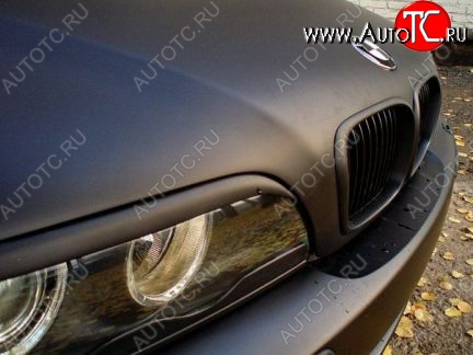 1 249 р. Реснички (нижние) на фары HAMANN BMW 5 серия E39 седан рестайлинг (2000-2003) (Неокрашенные)  с доставкой в г. Тамбов