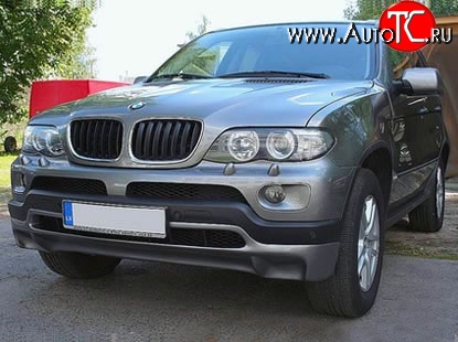 4 999 р. Накладка Sport Package на передний бампер (4.8is) BMW X5 E53 дорестайлинг (1999-2003) (Кузов: дорестайлинг)  с доставкой в г. Тамбов