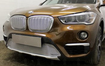 Защитная сетка радиатора в бампер Стрелка 11 Премиум (алюминий) BMW X1 F48 дорестайлинг (2015-2019)