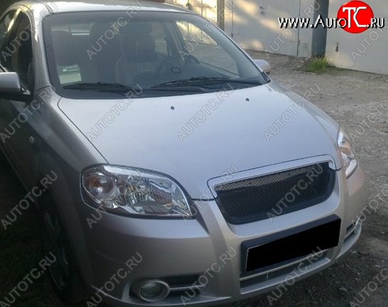 3 299 р. Решётка радиатора CT Chevrolet Aveo T250 седан рестайлинг (2006-2011) (Неокрашенная)  с доставкой в г. Тамбов