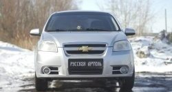 899 р. Защитная сетка решетки переднего бампера RA  Chevrolet Aveo  T250 (2006-2011) седан рестайлинг  с доставкой в г. Тамбов. Увеличить фотографию 3