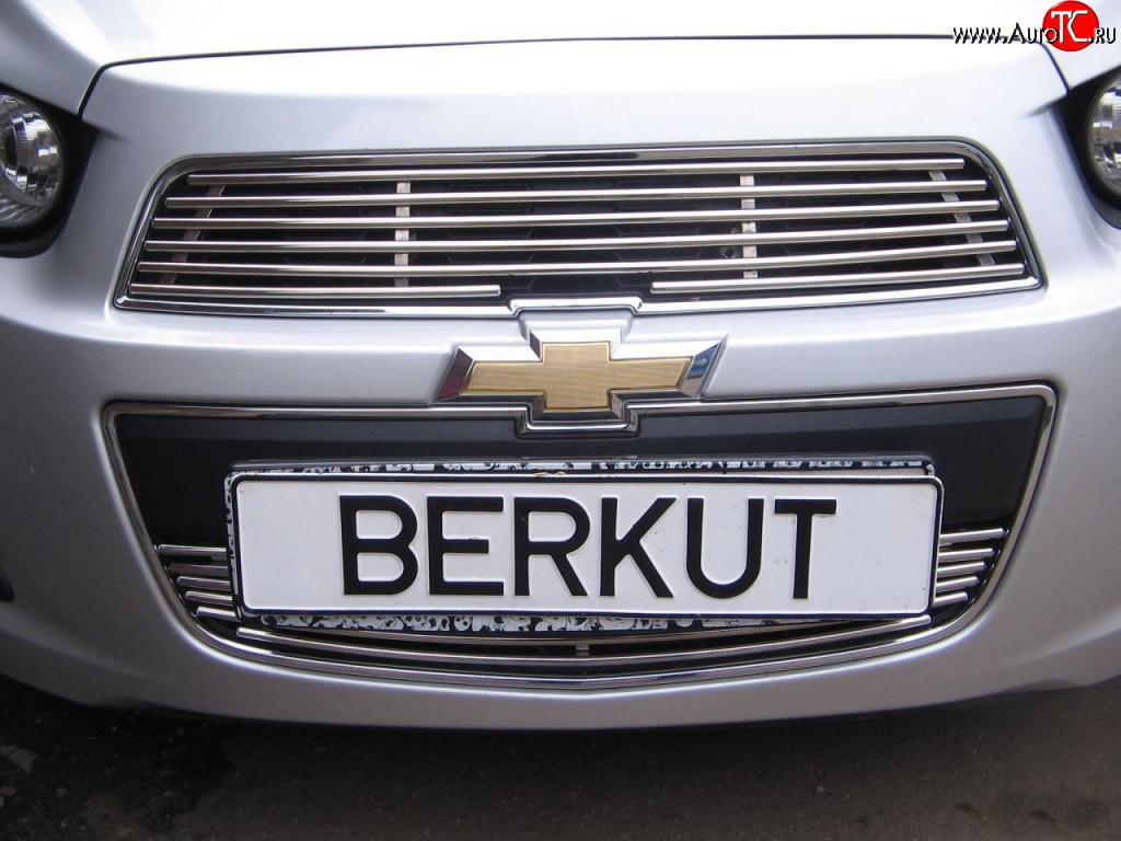 3 999 р. Декоративная вставка воздухозаборника Berkut Chevrolet Aveo T300 седан (2011-2015)  с доставкой в г. Тамбов