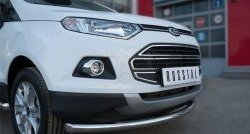 12 999 р. Одинарная защита переднего бампера диаметром 63 мм Russtal Ford EcoSport дорестайлинг (2013-2019)  с доставкой в г. Тамбов. Увеличить фотографию 2