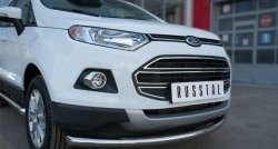 12 999 р. Одинарная защита переднего бампера диаметром 63 мм Russtal Ford EcoSport дорестайлинг (2013-2019)  с доставкой в г. Тамбов. Увеличить фотографию 3