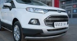 15 649 р. Защита переднего бампера (Ø75х42 мм, нержавейка) Russtal Ford EcoSport дорестайлинг (2013-2019)  с доставкой в г. Тамбов. Увеличить фотографию 2