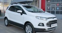 15 649 р. Защита переднего бампера (Ø75х42 мм, нержавейка) Russtal Ford EcoSport дорестайлинг (2013-2019)  с доставкой в г. Тамбов. Увеличить фотографию 4