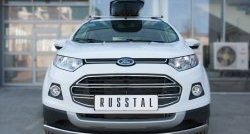 15 649 р. Защита переднего бампера (Ø75х42 мм, нержавейка) Russtal  Ford EcoSport (2013-2019) дорестайлинг  с доставкой в г. Тамбов. Увеличить фотографию 1