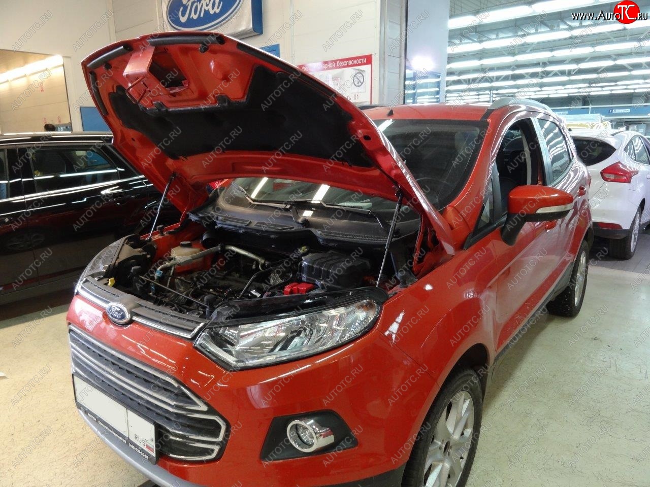 2 299 р. Упоры капота Russtal Ford EcoSport дорестайлинг (2013-2019)  с доставкой в г. Тамбов