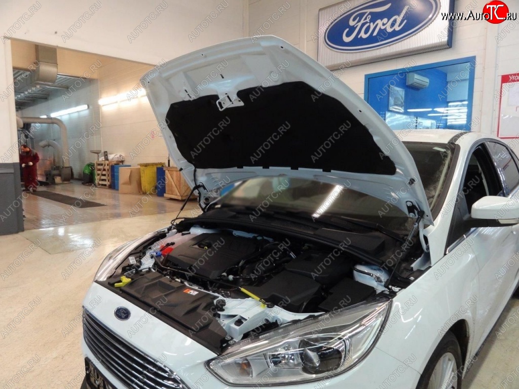 2 199 р. Газовые упоры капота Berkut Ford Focus 3 хэтчбэк дорестайлинг (2010-2015)  с доставкой в г. Тамбов