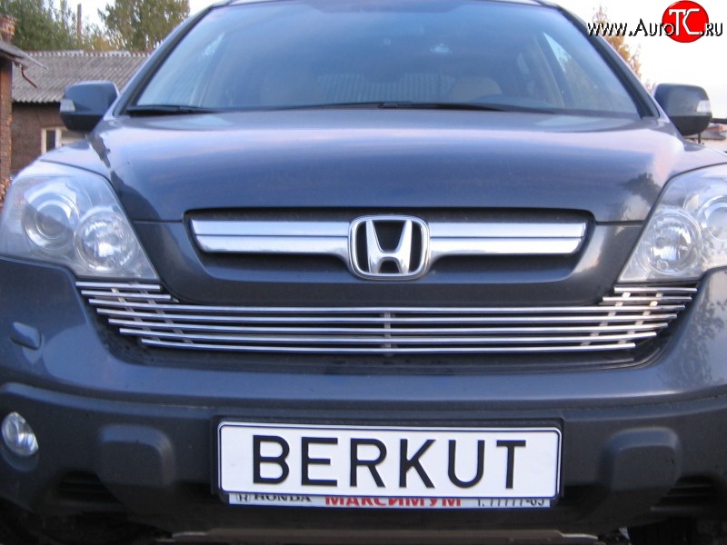 5 999 р. Декоративная вставка решетки радиатора Berkut Honda CR-V RE1,RE2,RE3,RE4,RE5,RE7 рестайлинг (2009-2012)  с доставкой в г. Тамбов