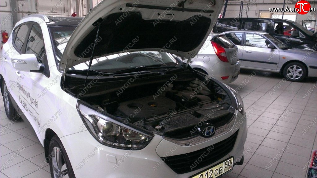 2 199 р. Газовые упоры капота Berkut Hyundai IX35 LM рестайлинг (2013-2018)  с доставкой в г. Тамбов