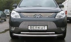 4 799 р. Декоративная вставка решетки радиатора Berkut Hyundai IX55 EN (2006-2013)  с доставкой в г. Тамбов. Увеличить фотографию 1