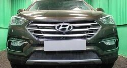 Защитная сетка на бампер Russtal Hyundai Santa Fe DM рестайлинг (2015-2019) ()