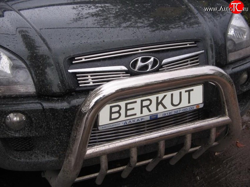 4 799 р. Декоративная вставка воздухозаборника Berkut  Hyundai Tucson  JM (2004-2010)  с доставкой в г. Тамбов