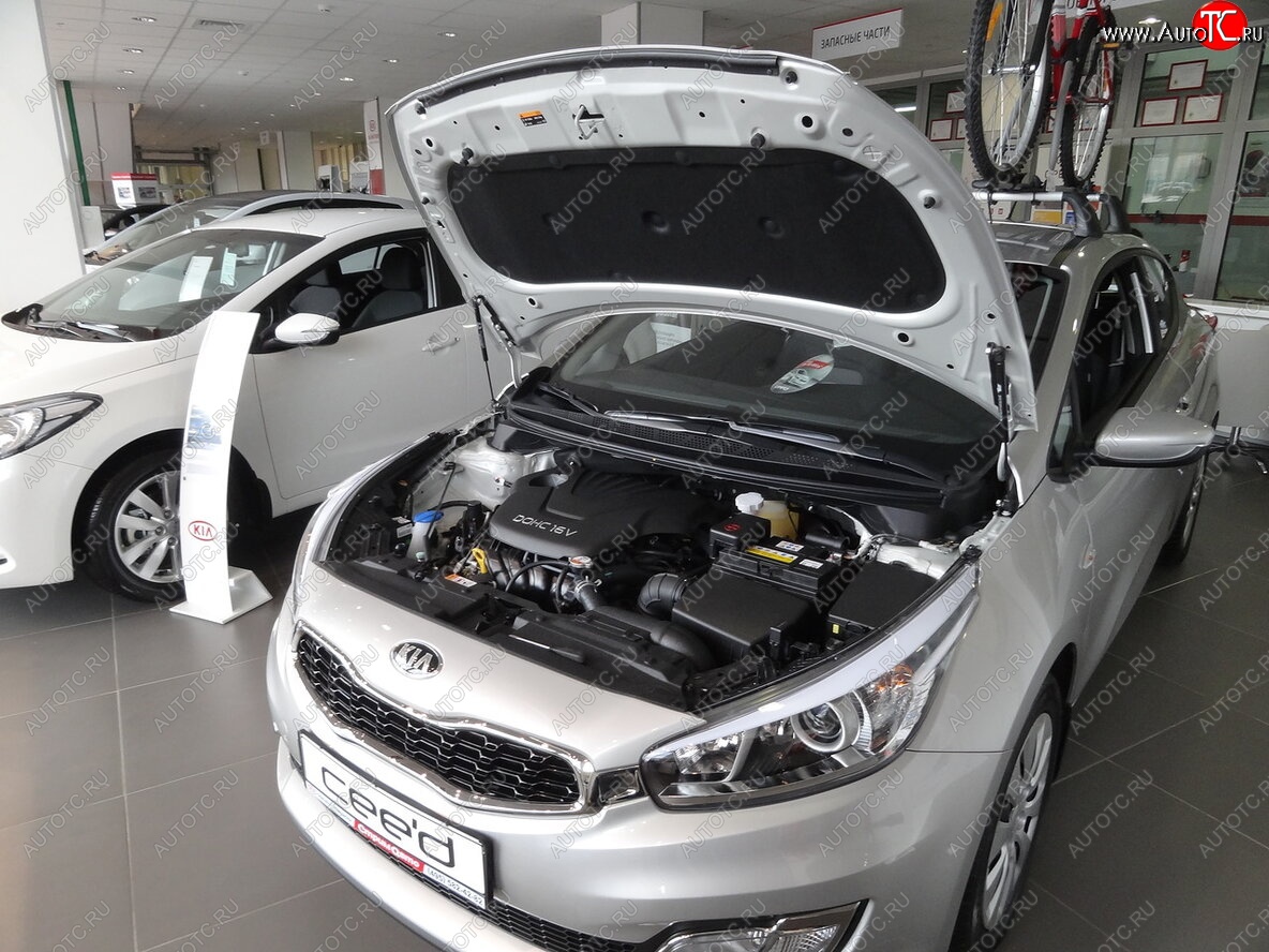 2 049 р. Упоры капота Russtal KIA Ceed 2 JD дорестайлинг универсал (2012-2016)  с доставкой в г. Тамбов