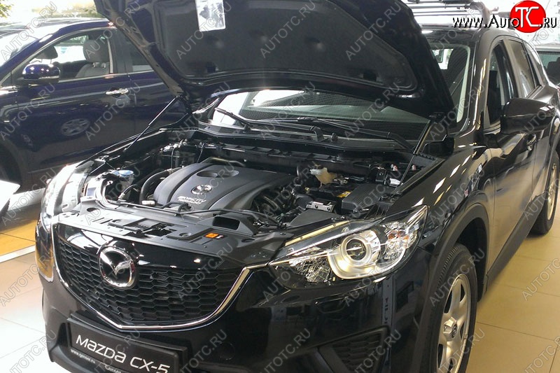 2 199 р. Газовые упоры капота Berkut Mazda CX-5 KE дорестайлинг (2011-2014)  с доставкой в г. Тамбов