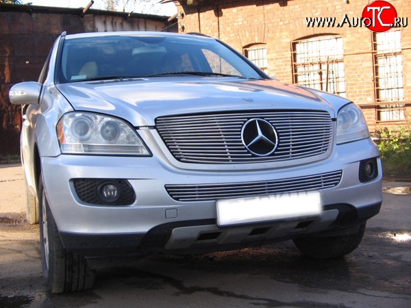 9 399 р. Декоративная вставка решетки радиатора Berkut Mercedes-Benz ML class W164 дорестайлинг (2005-2008)  с доставкой в г. Тамбов