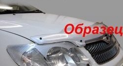 2 199 р. Защита фар CA-Plastik  Mitsubishi Pajero Sport  PB (2008-2013) дорестайлинг (Цвет: прозрачный)  с доставкой в г. Тамбов. Увеличить фотографию 6