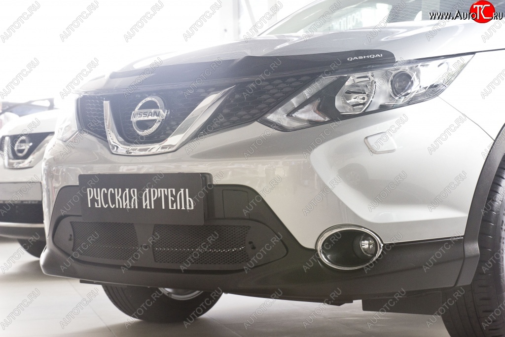 1 859 р. Защитная сетка решетки переднего бампера РА  Nissan Qashqai  2 (2017-2022) J11 рестайлинг  с доставкой в г. Тамбов