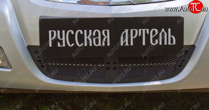 1 769 р. Защитная сетка решетки переднего бампера РА Nissan Almera Classic седан B10 (2006-2013)  с доставкой в г. Тамбов