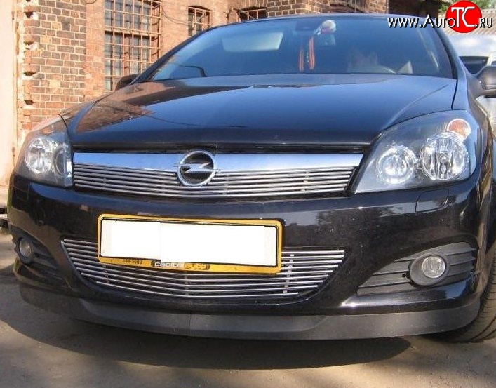 4 399 р. Декоративная вставка решетки радиатора Berkut  Opel Astra  H (2004-2007) хэтчбек 5дв дорестайлинг  с доставкой в г. Тамбов