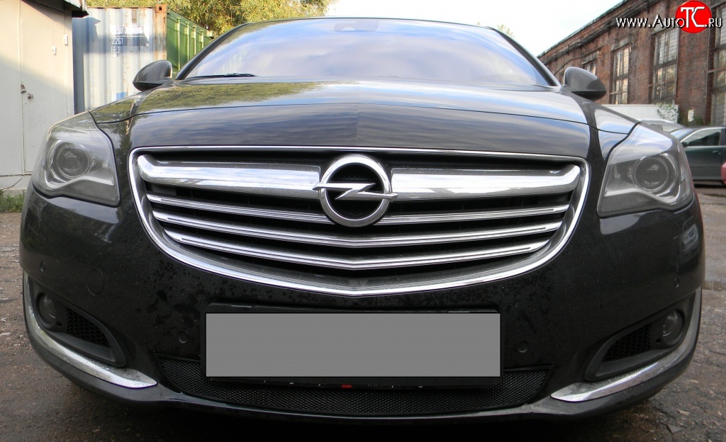 1 469 р. Сетка на бампер (рестайлинг) Russtal (черная) Opel Insignia A дорестайлинг седан (2008-2013)  с доставкой в г. Тамбов