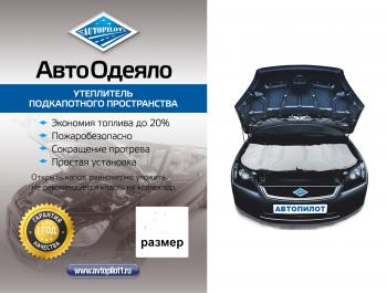 Автоодеяло (белое) Автопилот Ford Fiesta 5 хэтчбэк 5 дв. дорестайлинг (2001-2005)