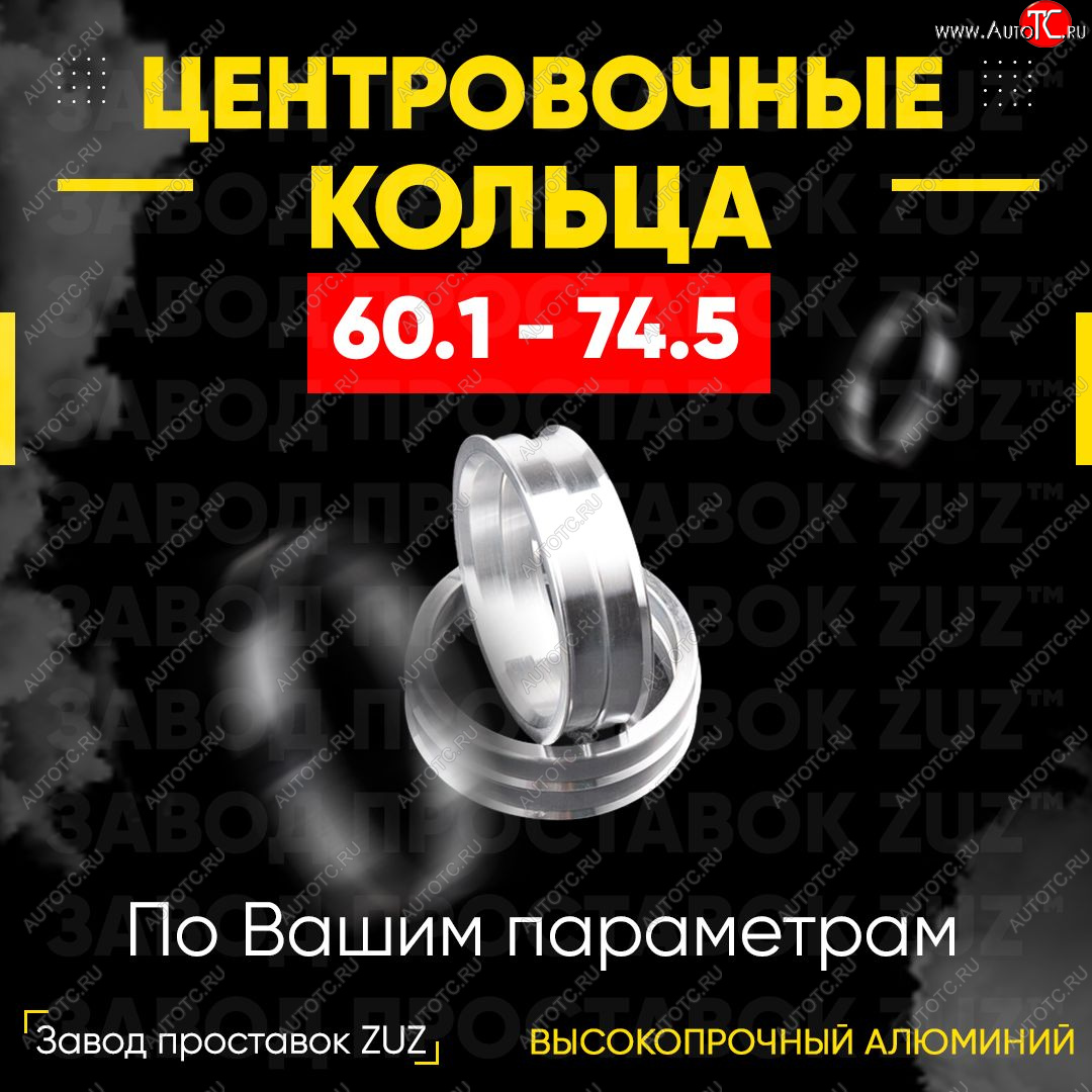 1 799 р. Алюминиевое центровочное кольцо (4 шт) ЗУЗ 60.1 x 74.5    с доставкой в г. Тамбов