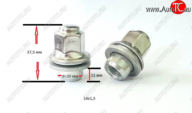 429 р. Колесная гайка (прессшайба, с нерж. колпачком, 37.5 мм) Вектор M14x1.5    с доставкой в г. Тамбов