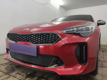 3 899 р. Защитная сетка в бампер (низ, ячейка 3х7 мм) Alfeco Стандарт KIA Stinger (2017-2025) (Чёрная)  с доставкой в г. Тамбов. Увеличить фотографию 4