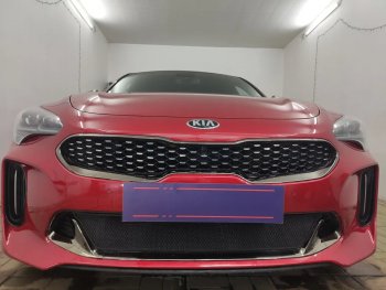 Защитная сетка в бампер (низ, ячейка 3х7 мм) Alfeco Стандарт KIA Stinger (2017-2025) ()