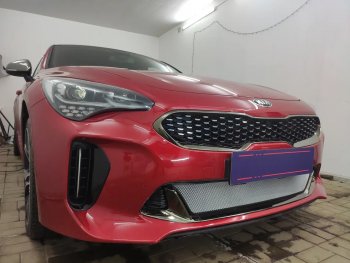 3 999 р. Защитная сетка в бампер (низ, ячейка 3х7 мм) Alfeco Стандарт KIA Stinger (2017-2025) (Хром)  с доставкой в г. Тамбов. Увеличить фотографию 3