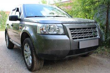 3 199 р. Защитная сетка в бампер (низ, ячейка 3х7 мм) Alfeco Стандарт Land Rover Freelander L359 дорестайлинг (2006-2010) (Чёрная)  с доставкой в г. Тамбов. Увеличить фотографию 2