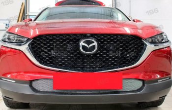 Защитная сетка в бампер (низ, ячейка 3х7 мм) Alfeco Стандарт Mazda (Мазда) CX-30 (си) (2019-2025) ()