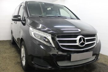 3 899 р. Защитная сетка в бампер (низ, ячейка 3х7 мм) Alfeco Стандарт Mercedes-Benz Vito W447 дорестайлинг (2015-2020) (Хром)  с доставкой в г. Тамбов. Увеличить фотографию 2