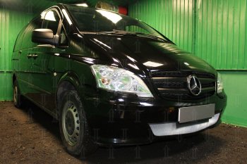 3 779 р. Защитная сетка в бампер (низ, ячейка 3х7 мм) Alfeco Стандарт Mercedes-Benz Vito W639 рестайлинг (2010-2014) (Хром)  с доставкой в г. Тамбов. Увеличить фотографию 2