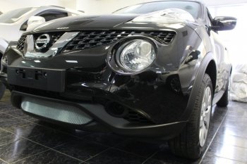 3 899 р. Защитная сетка в бампер (низ, ячейка 3х7 мм) Стрелка11 Стандарт Nissan Juke 1 YF15 рестайлинг (2014-2020) (Хром)  с доставкой в г. Тамбов. Увеличить фотографию 3