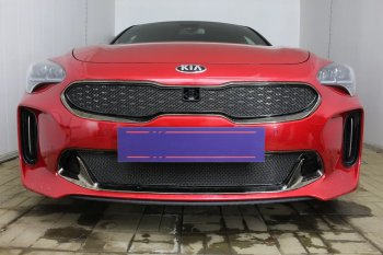 5 999 р. Защитная сетка в бампер (верх, ячейка 4х10 мм) Alfeco Премиум KIA Stinger (2017-2025) (Чёрная)  с доставкой в г. Тамбов. Увеличить фотографию 4