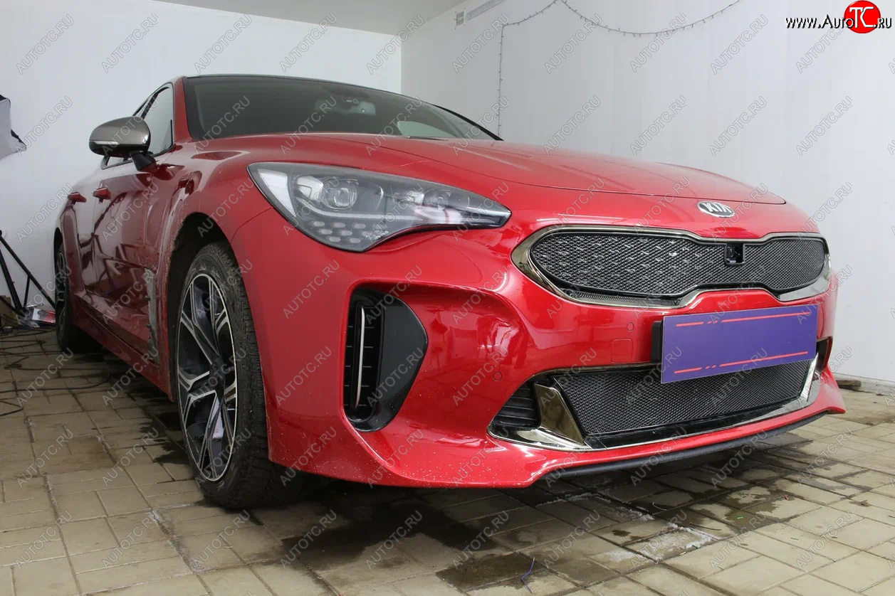 5 999 р. Защитная сетка в бампер (верх, ячейка 4х10 мм) Alfeco Премиум KIA Stinger (2017-2025) (Чёрная)  с доставкой в г. Тамбов