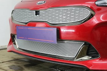 6 299 р. Защитная сетка в бампер (верх, ячейка 4х10 мм) Alfeco Премиум KIA Stinger (2017-2025) (Хром)  с доставкой в г. Тамбов. Увеличить фотографию 2