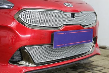 6 299 р. Защитная сетка в бампер (верх, ячейка 4х10 мм) Alfeco Премиум KIA Stinger (2017-2025) (Хром)  с доставкой в г. Тамбов. Увеличить фотографию 4