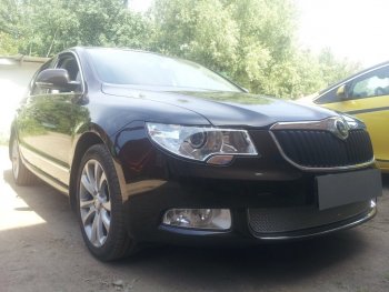 4 299 р. Защитная сетка в бампер (низ, ячейка 4х10 мм) Стрелка11 Премиум Skoda Superb B6 (3T) лифтбэк дорестайлинг (2008-2013) (Хром)  с доставкой в г. Тамбов. Увеличить фотографию 2