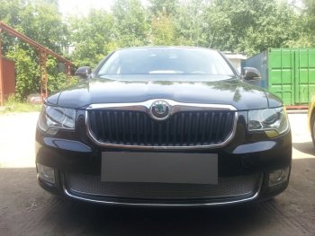 Защитная сетка в бампер (низ, ячейка 4х10 мм) Стрелка11 Премиум Skoda Superb B6 (3T) лифтбэк дорестайлинг (2008-2013)  (Хром)