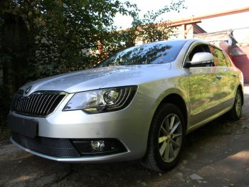 4 599 р. Защитная сетка в бампер (низ, ячейка 4х10 мм) Стрелка11 Премиум Skoda Superb (B6) 3T лифтбэк рестайлинг (2013-2015) (Чёрная)  с доставкой в г. Тамбов. Увеличить фотографию 1