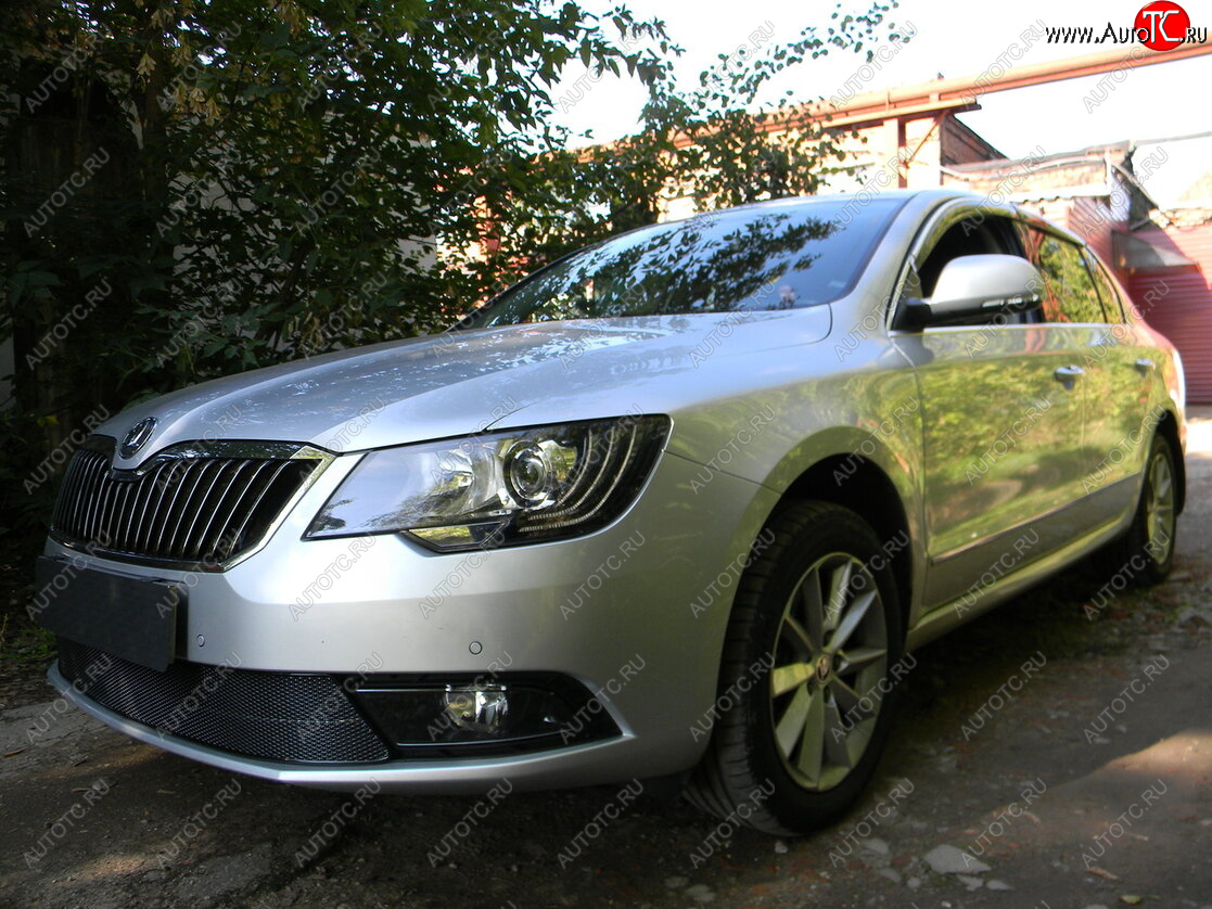 4 599 р. Защитная сетка в бампер (низ, ячейка 4х10 мм) Стрелка11 Премиум Skoda Superb (B6) 3T лифтбэк рестайлинг (2013-2015) (Чёрная)  с доставкой в г. Тамбов