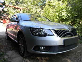 4 599 р. Защитная сетка в бампер (низ, ячейка 4х10 мм) Стрелка11 Премиум Skoda Superb (B6) 3T лифтбэк рестайлинг (2013-2015) (Чёрная)  с доставкой в г. Тамбов. Увеличить фотографию 3