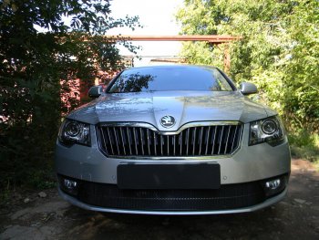 4 599 р. Защитная сетка в бампер (низ, ячейка 4х10 мм) Стрелка11 Премиум Skoda Superb (B6) 3T лифтбэк рестайлинг (2013-2015) (Чёрная)  с доставкой в г. Тамбов. Увеличить фотографию 2