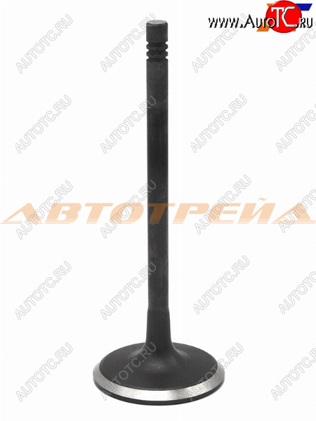 399 р. Клапан впускной (1 шт) NISSAN ALMERA QG16DE SHINHAN 12211-42910  с доставкой в г. Тамбов